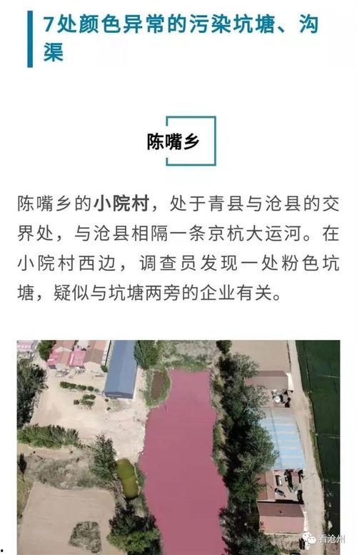 老陈最新爆料新闻视频播放,最新爆料新闻视频幕后真相大起底