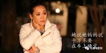 郑爽宁静最新爆料,最新爆料揭秘幕后真相