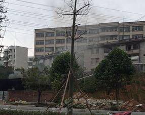 信宜中学爆料新闻最新,揭秘校园风云事件背后的真相